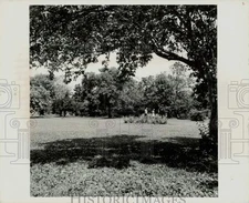 Press Photo Redland Fruit and Spice Park, South of Miami, Florida - lry21386