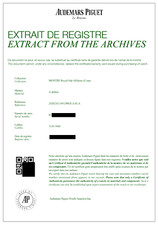 Audemars Piguet Royal Oak Offshore Jarno Trulli 42mm Offshore Carbon Watch 8