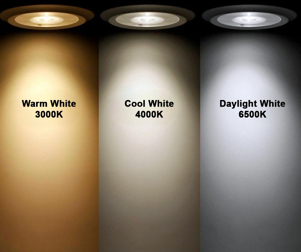 Philips Master TL D 18w 2ft T8 Fluorescent Tube Daylight White 865 Pack of 2