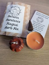 Manifestation Spell Kit. Abundance, Witch, Spiritual, Magick