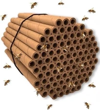 Mason bee cardboard nesting tubes refills