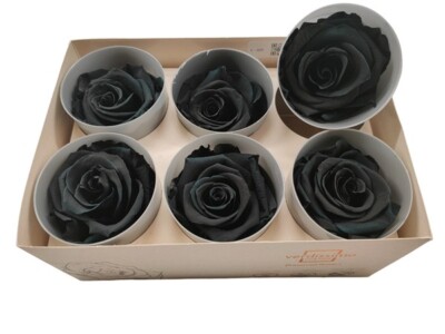 Preserved Ice Dry Rose - Black Beauty Set of 6 Elegant Decorative Flowers