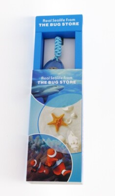 Real Sealife Small & Medium Armbänder - Auswahl aus 24 Designs