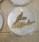 6 Clark Bronson Exclusive Decorator Collection Ltd Edition Plates wildlife Case — photo 9