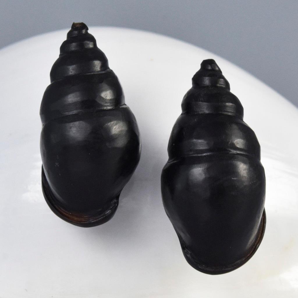Snail Shell Shaped Earring Pair Beads Carved Black Horn Handmade 