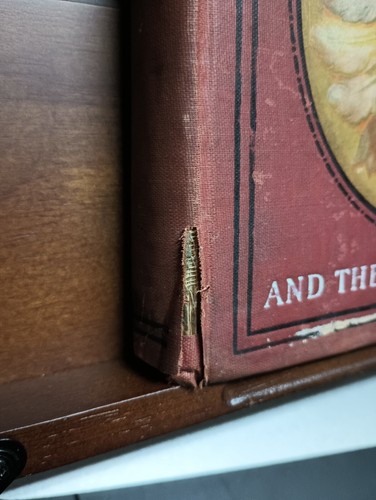 Wild Life Among the Red Men Customs Superstitions : Ella Hines Stratton 1908 - Picture 3 of 24