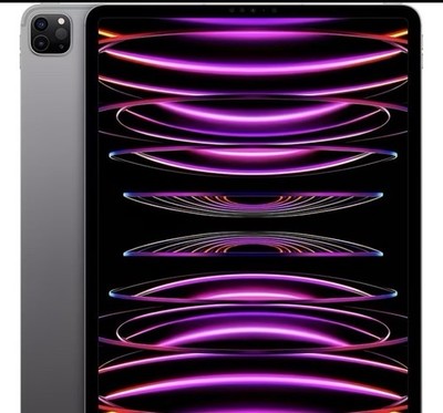 Apple iPad Pro 12.9'' Tablet Gray, Dual Rear Cameras, Edge-to-Edge Display