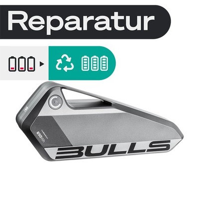 E-Bike Akku Reparatur Bulls Green Mover 36V 17Ah Lavida Lacuba