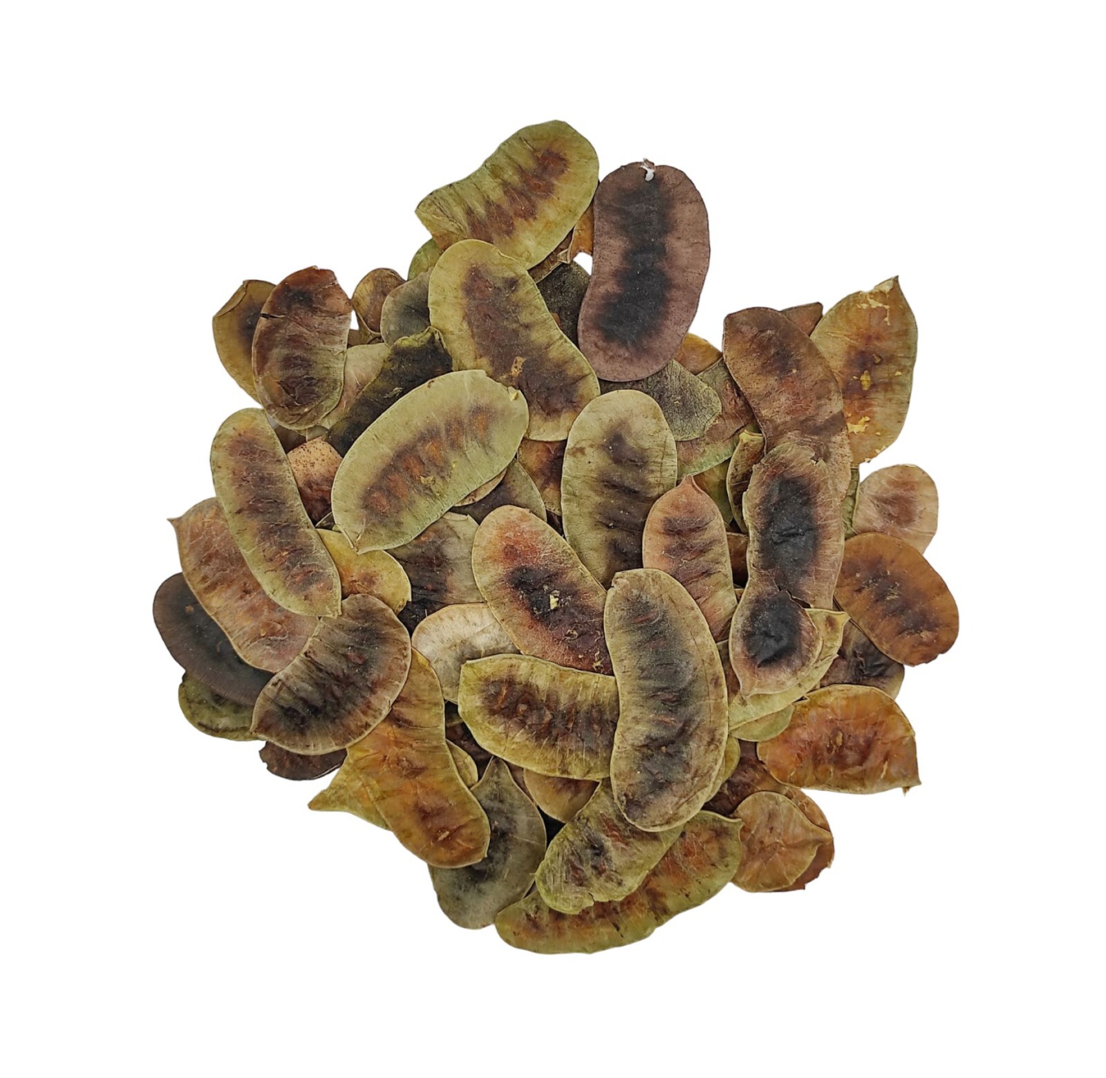 Dried Senna Pods Herbal Tea 950 g (33.5oz) - Premium Quality | Senna Alexandrina