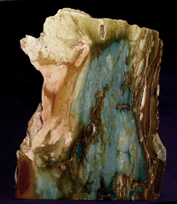 Gary Green-Jaspis, McDermitt, Oregon, USA   714,7g 121x91x56mm, Heilstein