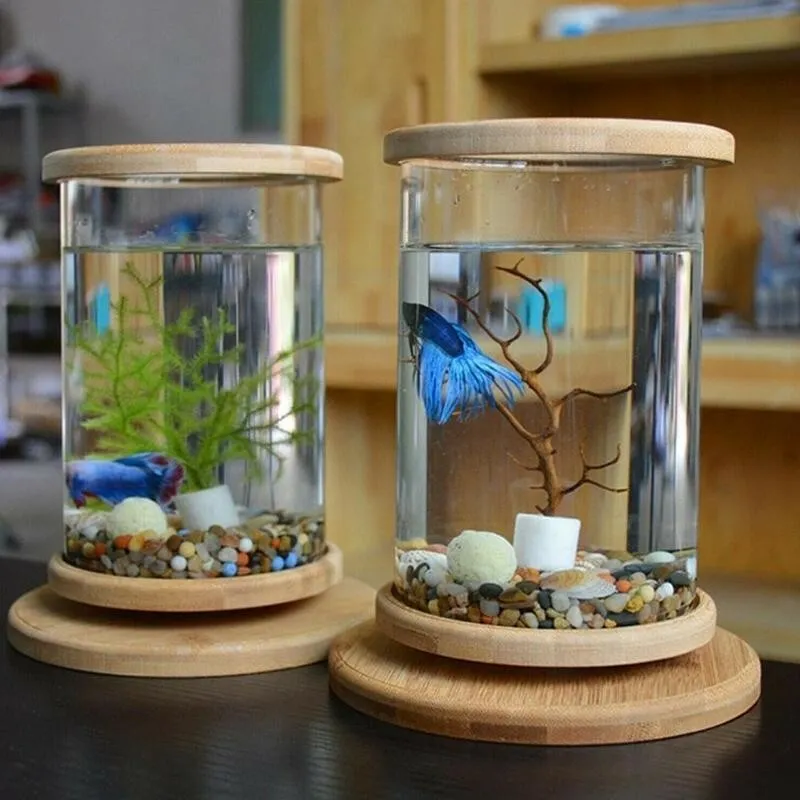 Small Office Bamboo Glass Aquarium Rotating Base Mini Fish Tank / Terrarium
