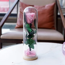 9.8 Inches Preserved Rose in Glass Dome Rose with Green Leaves Eternal Love and