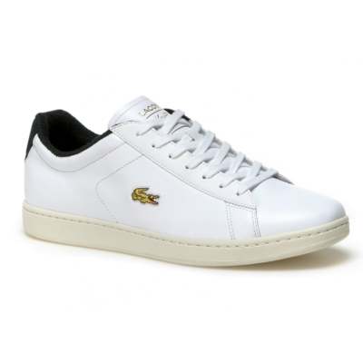 lacoste carnaby evo 317