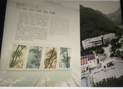 One China Chongqing stamps set in album new/unc - Picture 12 of 12