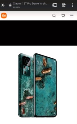 Xiaomi 12T Pro Daniel Arsham Edition - 256GB - Grün (Ohne Simlock) (Dual-SIM)