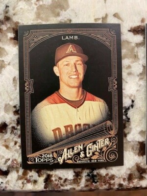 2018 TOPPS ALLEN GINTER X BASEBALL BASE CARD DIAMONDBACKS JAKE LAMB #273