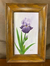 Vintage Gertrude Eachus Botanical Oil Painting - Iris - Signed - Wooden Frame