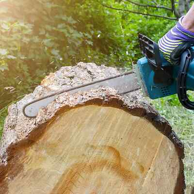 #ad #ad Pack of 2 Chainsaw Chain Replacement 16quot; 3 8quot; LP .043 55DL for Stihl MS170 MS180 $15.99