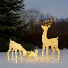 Yescom 3-Piece Reindeer Family Set Decorations with 280 LEDs for Home Decor — photo 2