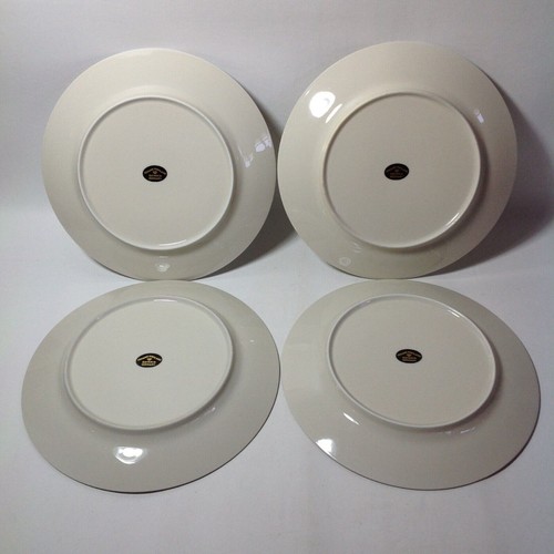 4 Johann Haviland 9.75" Dinner Plate Rhineland Pattern Bavaria Germany Vintage - Picture 7 of 20