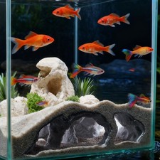 Aquarium Cave Tunnel Hideout - 3D Printed Fish Tank Cave Decor for Pleco,Frie...