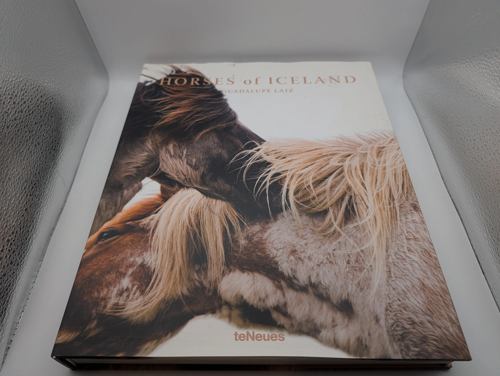 Horses of Iceland