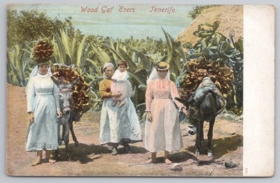 Holzsammlerinnen Frauen mit Eseln Teneriffa Kanarische Inseln Postkarte 1910er