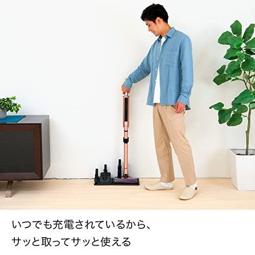 Shark シャーク EVOPOWER SYSTEM iQ CS851J Shark Evopower System Iq Cordless Stick Cleaner Cs851J Ash