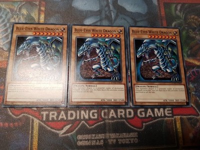Yu-Gi-Oh! 3 × Blue Eyes White Dragon