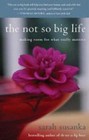 The Not So Big Life: Making Room for What Really Matters by Sarah Susanka (Paperback, 2007)