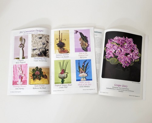 African Violet Magazine 2018 Issues Number 1 and 4 - Imagen 5 de 6