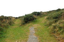 Photo 6x4 Tracks divide near Upper Porthmawr Farm Treleddyd-fawr The trac c2009