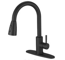Single Handle Kitchen Faucet High Arc Pull Out Sink Tap with Pull Down Sprayer