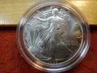 1986 United States American Silver Eagle 1 Oz 0.999 Silver Coin (Lt Toning)