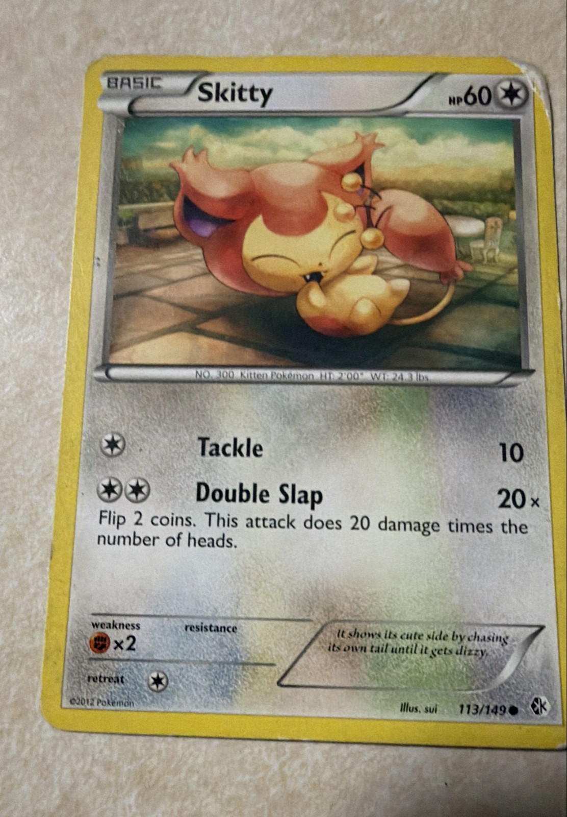 Skitty 113/149 Boundaries Crossed Regular