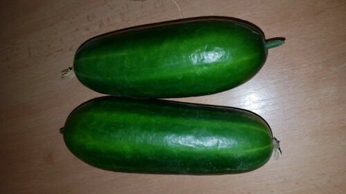 Tondo Padana Gurkenmelone Melonengurke Carosello S? Produktbild-Vorschau 5
