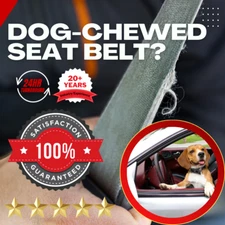 Nissan Seat Belt Webbing/Material Replacement Service - COLOR MATCH - 24HR!