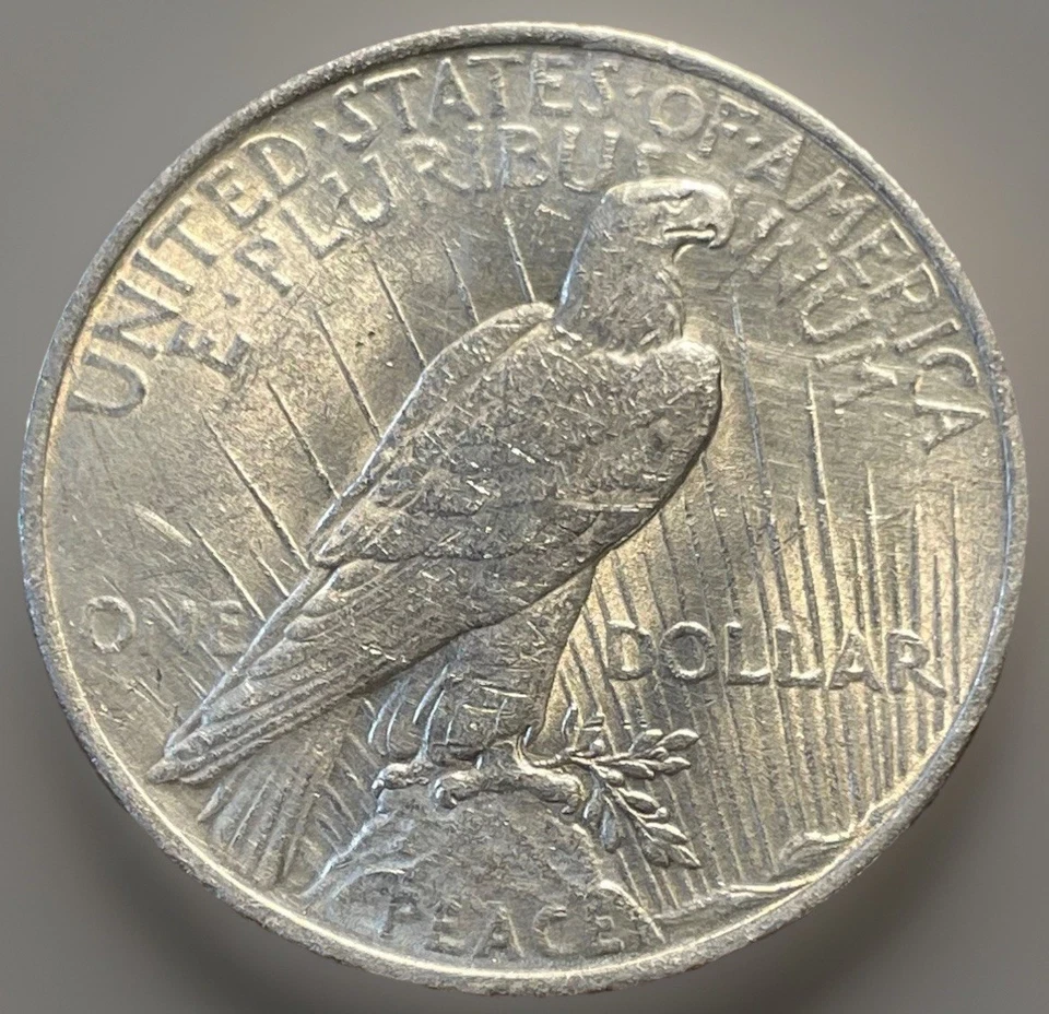 NICE DIE CLASH! 1923-P Peace Dollar Error. Spike, Eagles Right Shoulder. PD-003 - Image 3 of 4