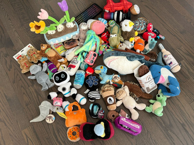 RANDOMLY SELECTED 6 PIECE LOT - Dog Toys (Barkbox, Zippy Paws, Petplaysf, Etc)