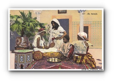 CO-BFP1-0645-MAROC - Zur Harem