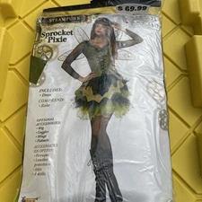 Steampunk Sprocket Pixie Adult Costume Medium - Large 8-12