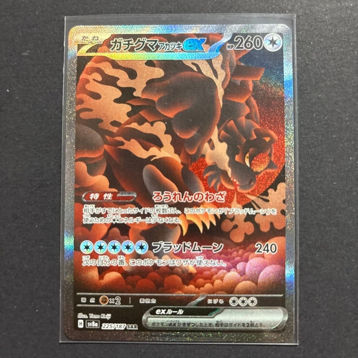 Bloodmoon Ursaluna ex SAR 225/187 SV8a Terastal Fest Pokemon Card Japanese NM