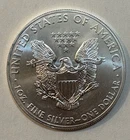 2013 Walking Liberty American Eagle Silver Dollar Coin 1oz