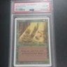 1994 Magic the Gathering Revised Regrowth PSA 6 Sorcery Card English