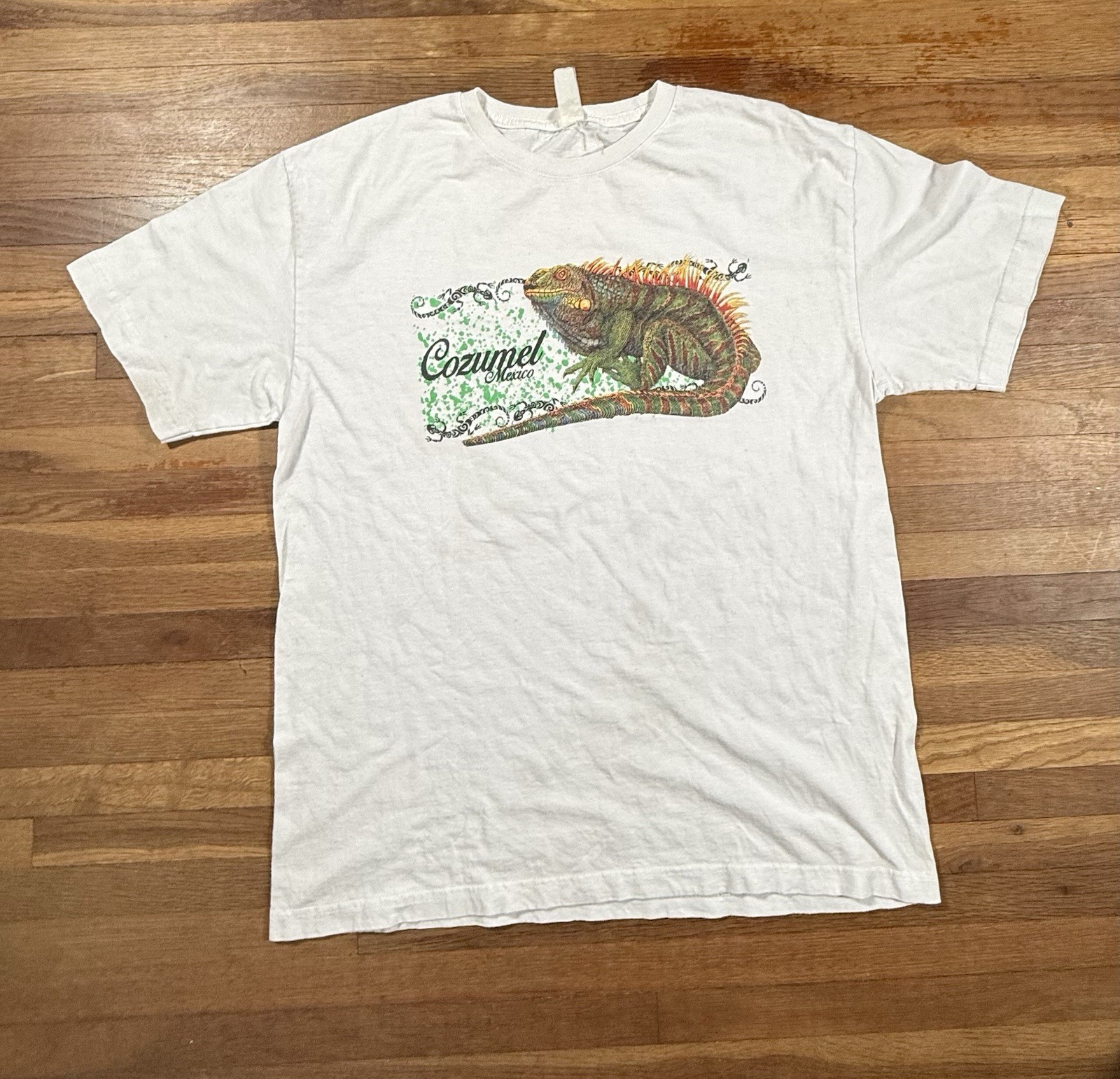 Vintage Cozumel Iguana Graphic T Shirt True Size Medium
