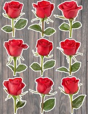 Red Rose Die Cut Vinyl Stickers Set Scrapbooking Laptop Waterbottle