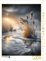 Puzzle Calvendo Les Rayons Lumineux Percent Les Herbes Des Dunes | 1000 PièCes,