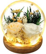 Flowers, Roses Gift - Fresh Flowers Bouquet  Preserved Roses, White Rose with O