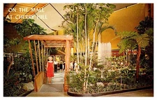 Postcard SHOP SCENE Cherry Hill New Jersey NJ d/20 AQ3916