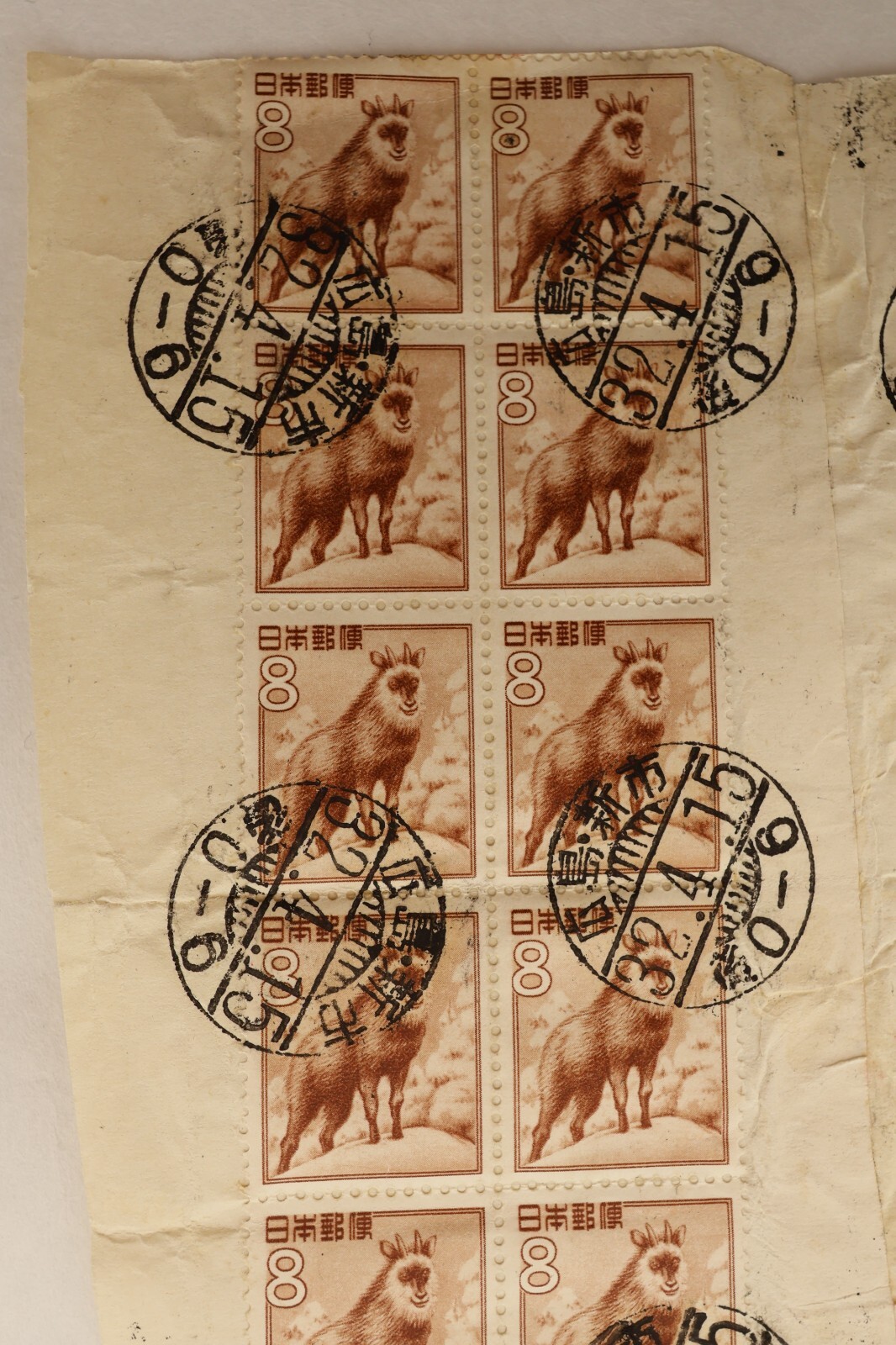 Picture 4